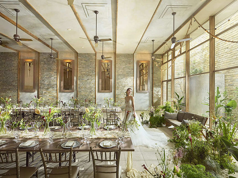 シングスアオヤマオーガニックガーデン（THINGS Aoyama Organic Garden. dth）